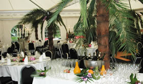 Ihre Party im Festzelt